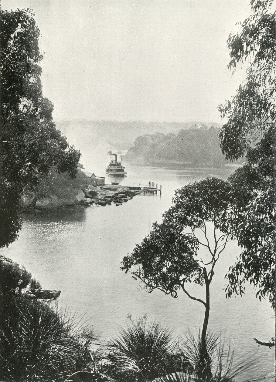 Zatoka Mosmans, z molo Cremorne, ok. 1900. autorstwa Unbekannt