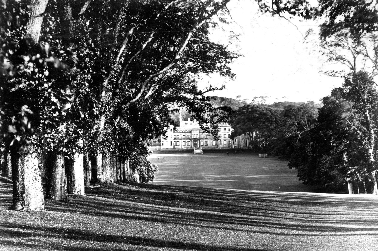 Góra Edgcumbe, c1882 autorstwa Unbekannt