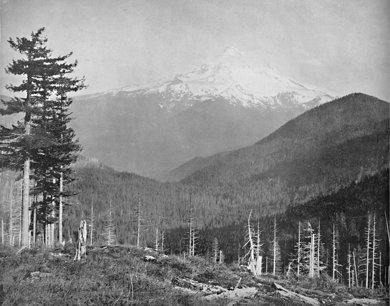 Mount Hood, Oregon, c1897. autorstwa Unbekannt