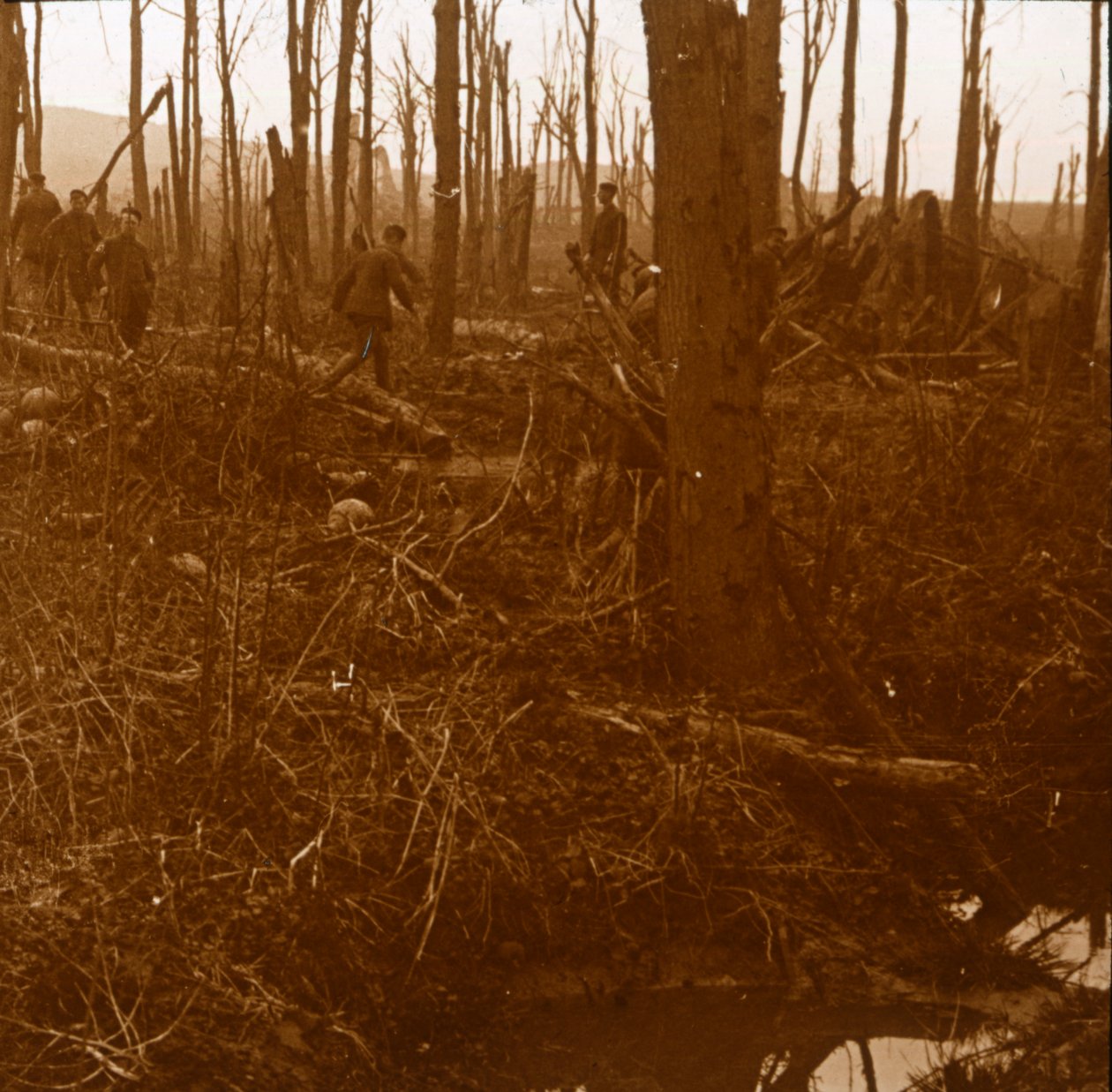 Góra Kemmel, Flandria, Belgia, c1914-c1918 autorstwa Unbekannt
