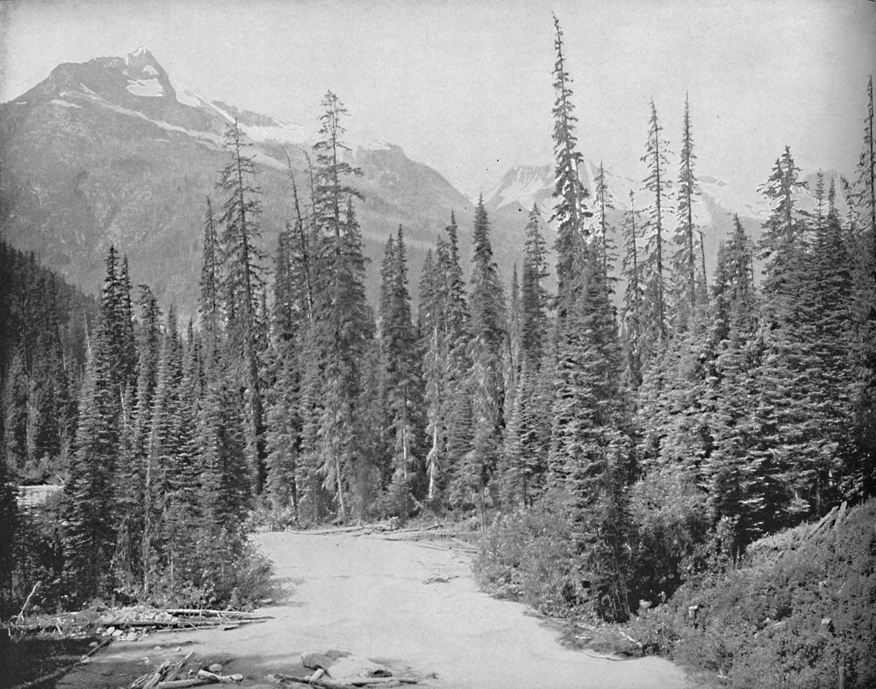 Mounts Cheops and Hermit, Selkirk Range of the Rockies, c1897. autorstwa Unbekannt