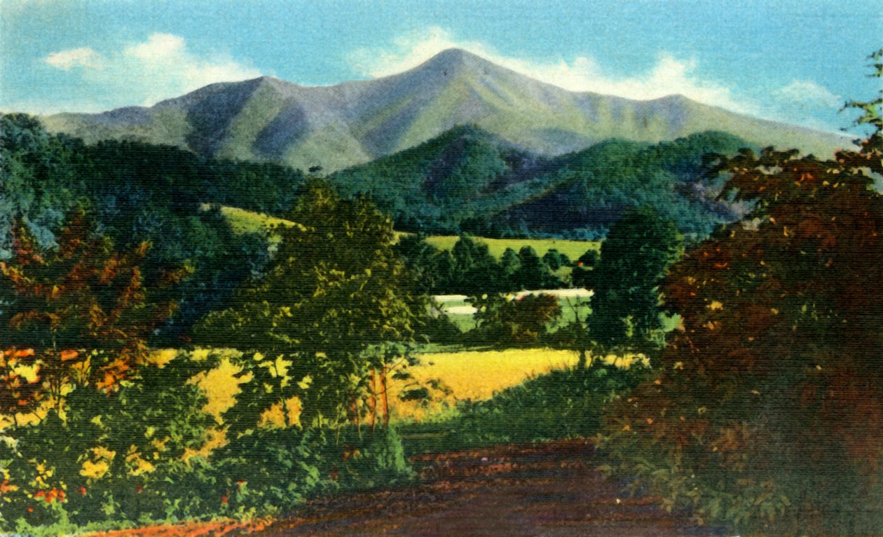 Pan Pisgah i szczur w oddali, Zachodnia Karolina Północna, 1942 r. autorstwa Unbekannt