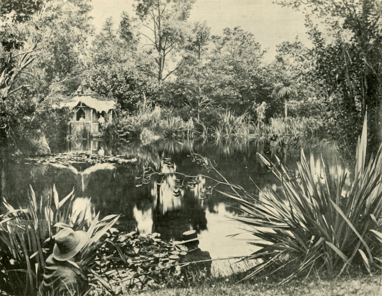 Pan Ryans Gardens, Mount Macedon, Victoria, 1901. autorstwa Unbekannt