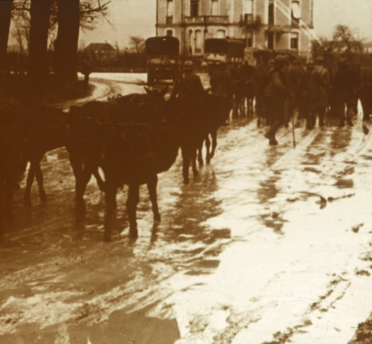 Pociąg mułów z zaopatrzeniem, Verdun, północna Francja, c1914-c1918 autorstwa Unbekannt