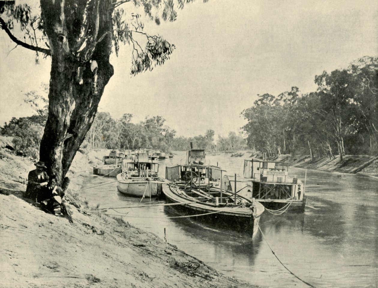 Barki Murray i parowce w Echuca, 1901. autorstwa Unbekannt