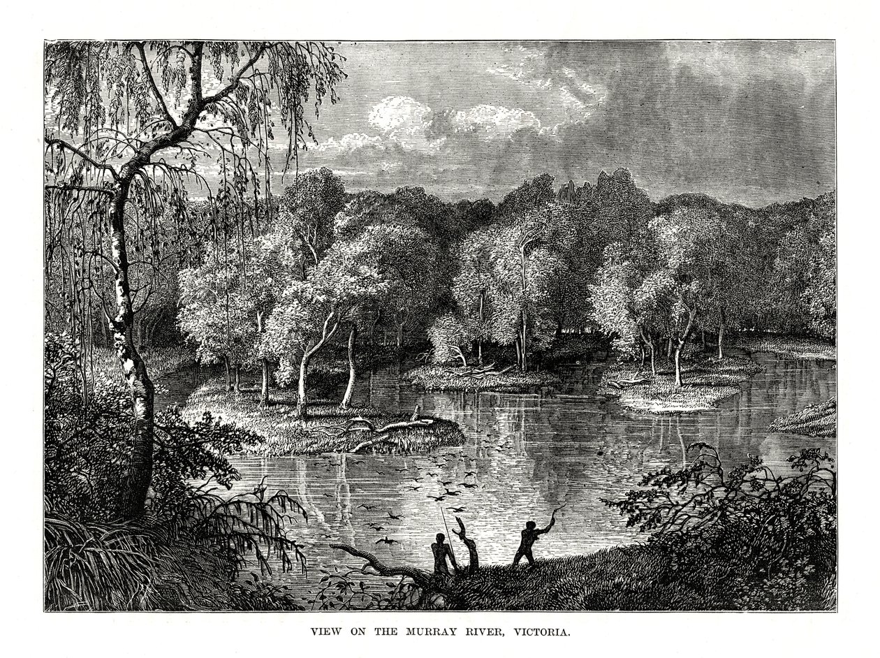 Rzeka Murray, Wiktoria, Australia, 1877 autorstwa Unbekannt