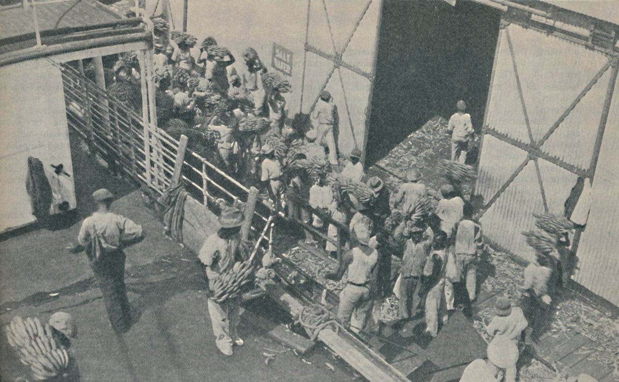 Tubylcy ładują banany w Kingston na Jamajce, intonują szkockie psalmy, 1937 autorstwa Unbekannt