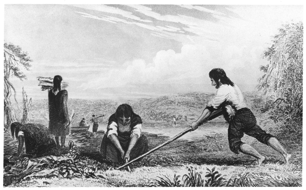 Mieszkańcy Chiloe, Patagonii, używający pługa piersiowego, 1839 autorstwa Unbekannt