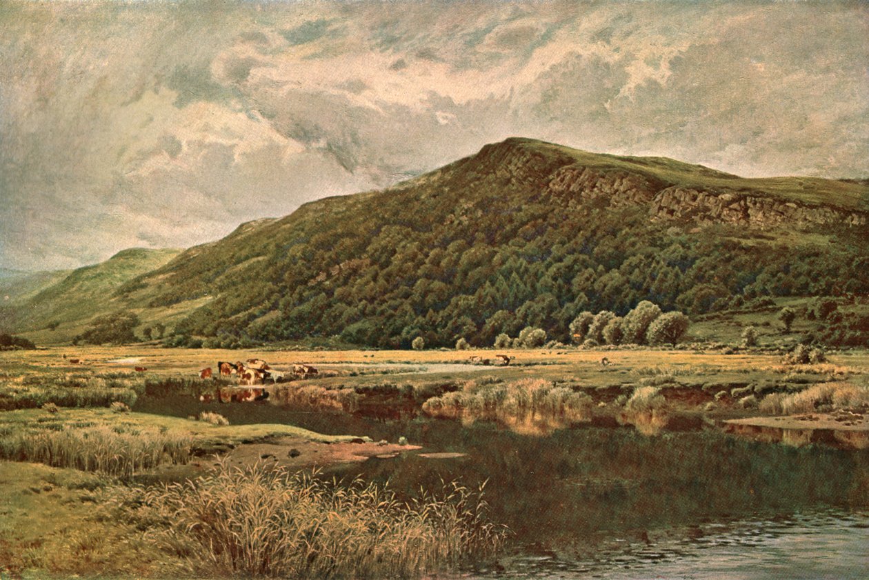Lustro natury, 1882, c1902. autorstwa Unbekannt