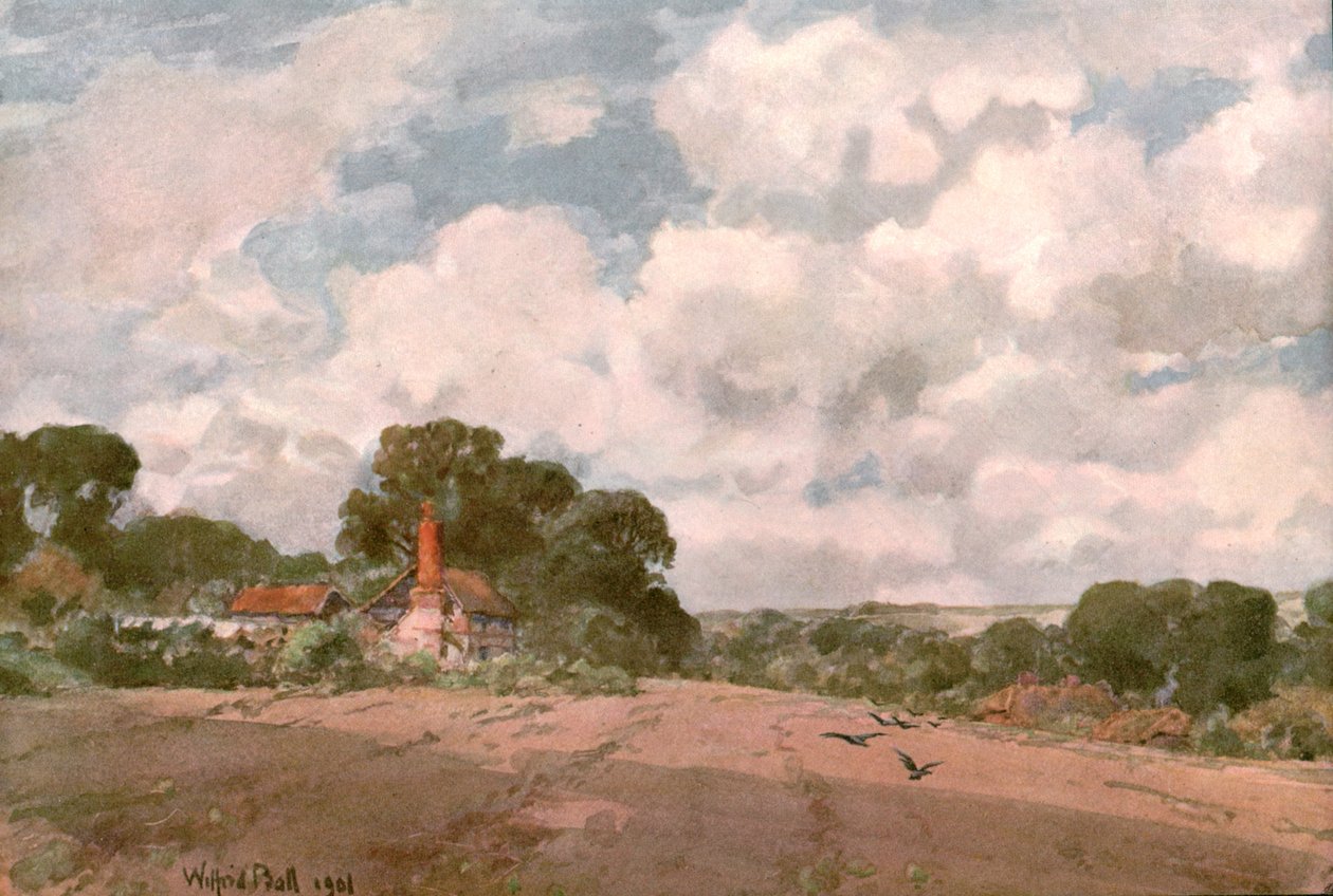 W pobliżu Hogsback, Surrey, 1901. autorstwa Unbekannt