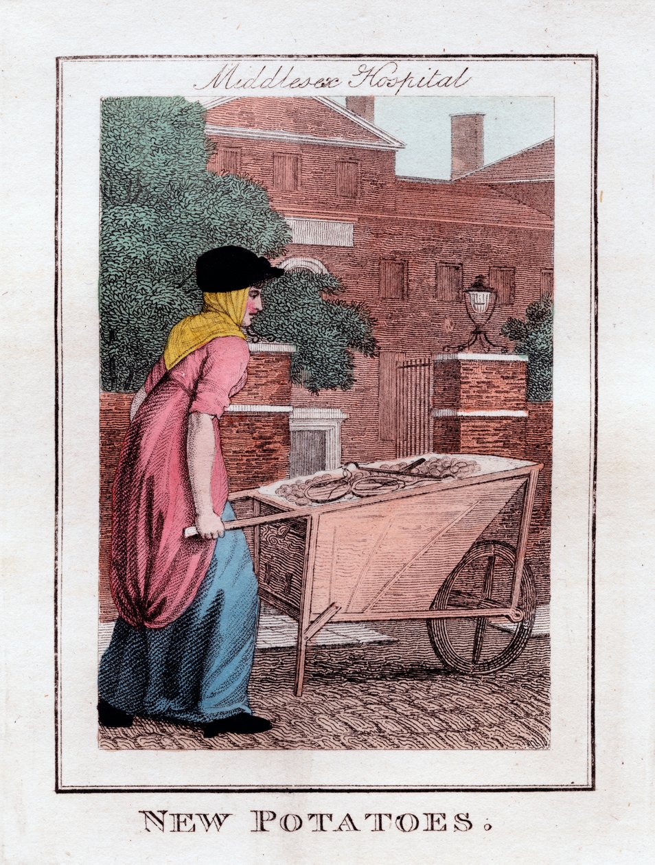 Nowe Ziemniaki, Szpital Middlesex, Londyn, 1805 autorstwa Unbekannt