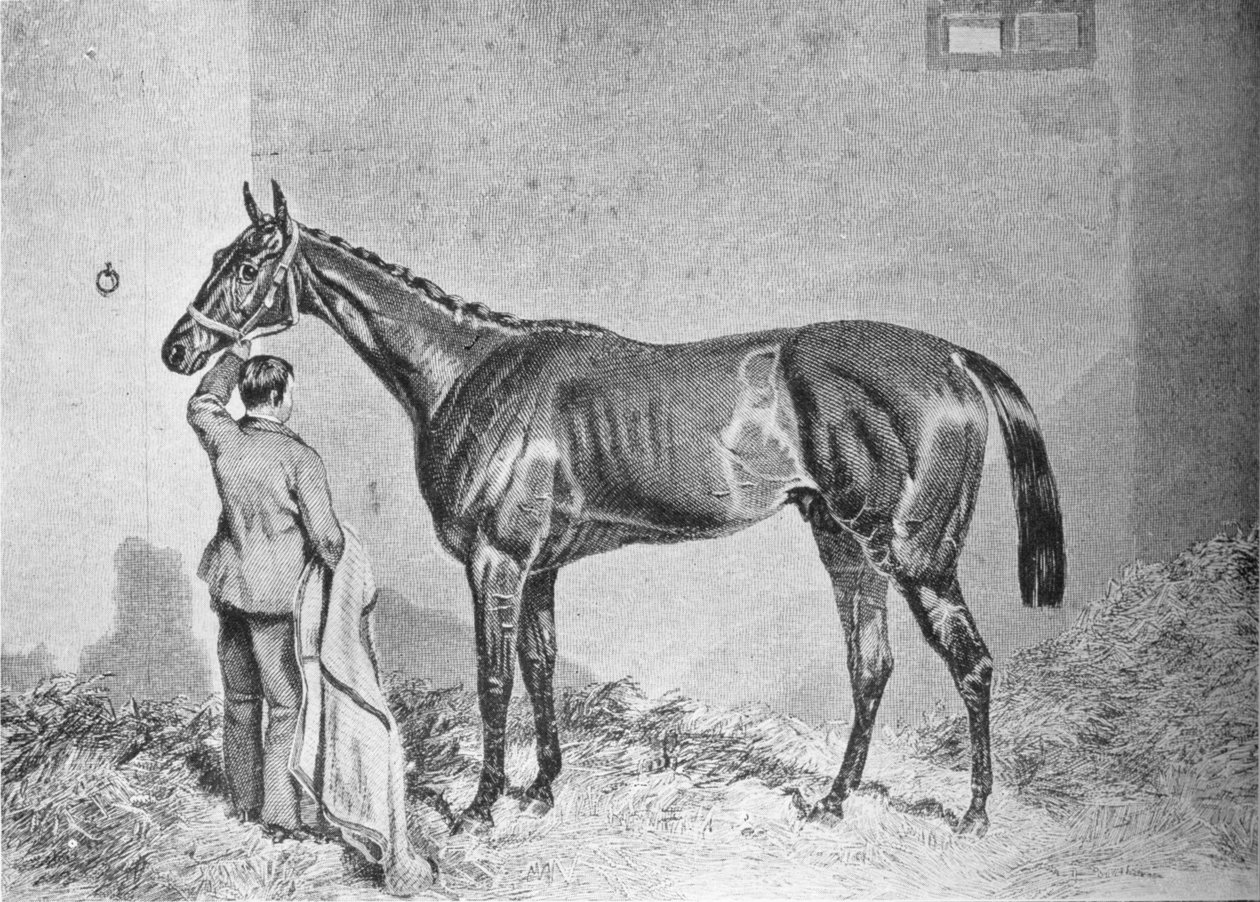 Newminster, 1848-1868, 1911 autorstwa Unbekannt