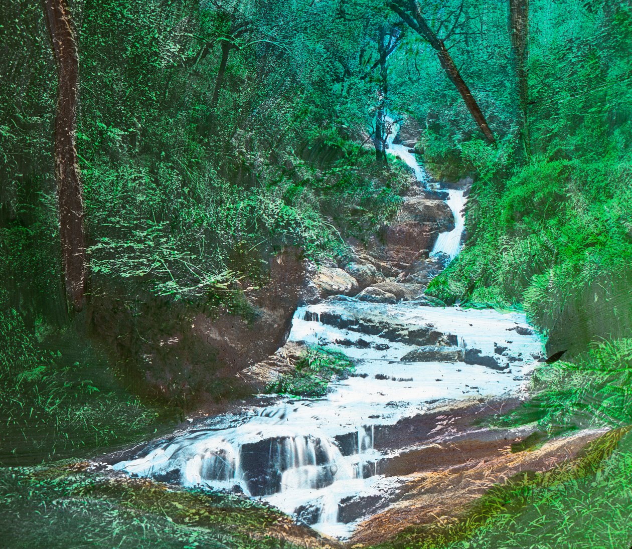 OSullivans Cascade, Killarney, c1910 autorstwa Unbekannt