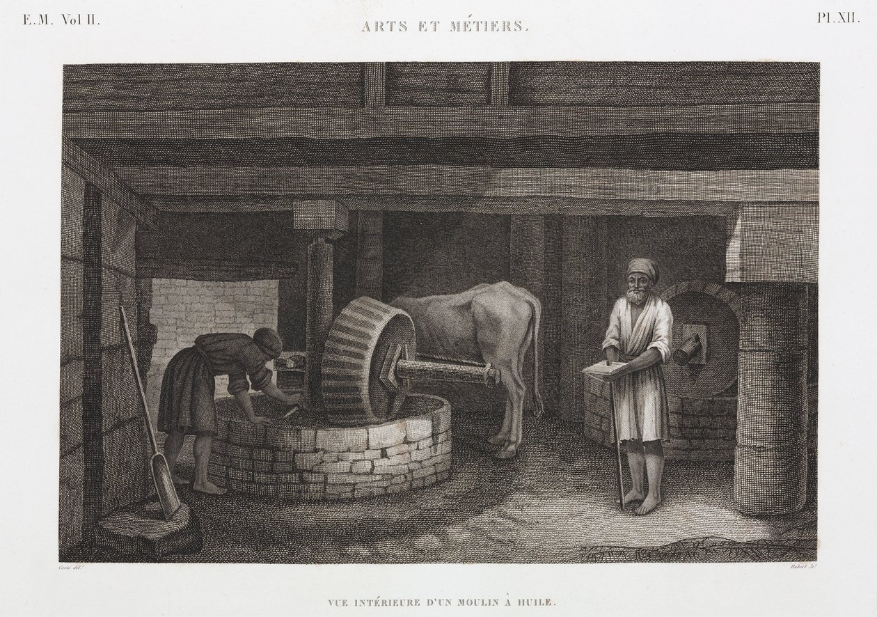 Oleje, tłuszcze i woski Olejarnia, Egipt, ok. 1798 autorstwa Unbekannt