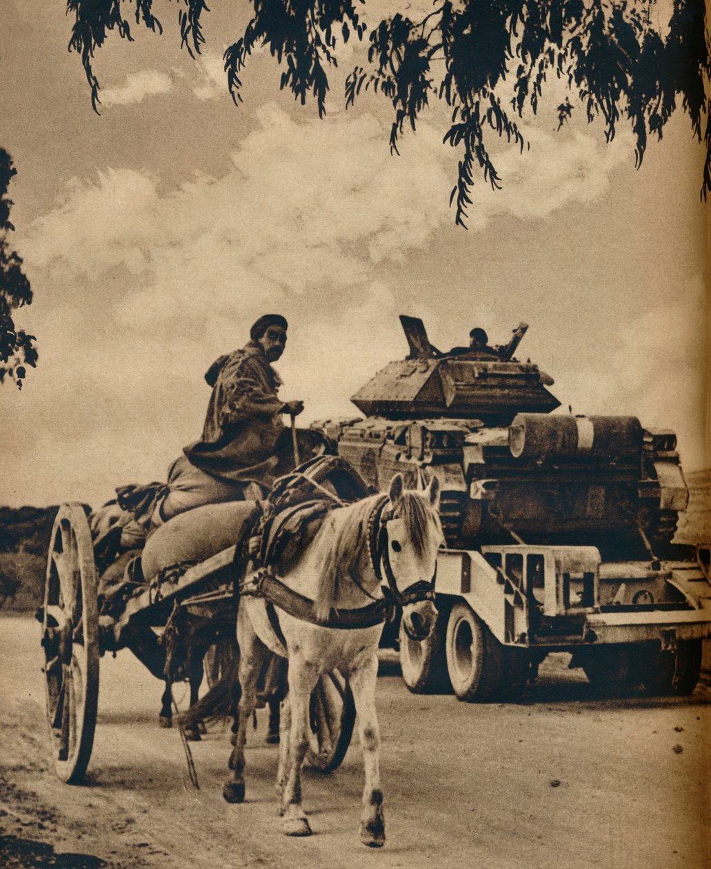 Stare i nowe w Afryce Północnej, 1943 autorstwa Unbekannt