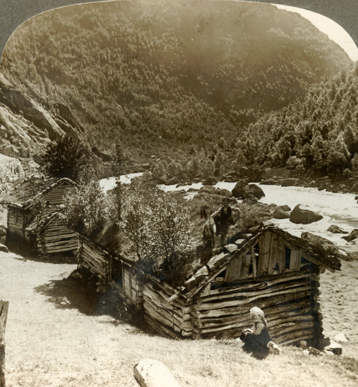 Stare domy z bali w Bratslandsdal, z drzewami rosnącymi na dachach pokrytych darnią, Norwegia, ok. 1905. autorstwa Unbekannt