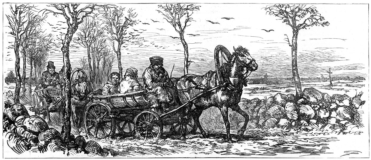 Na drodze w pobliżu Petersburga, Rosja, 1882 r. autorstwa Unbekannt