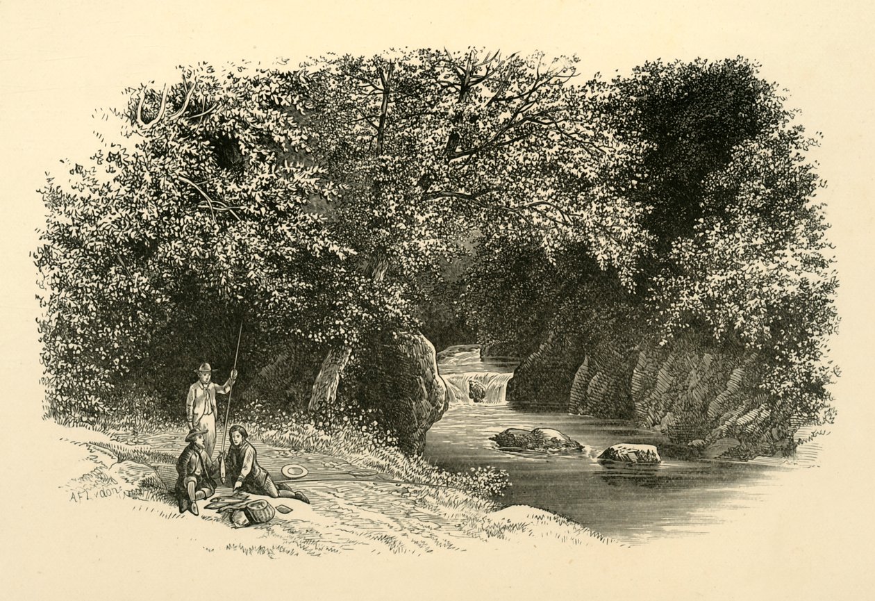 Na Dargle, ok. 1890. autorstwa Unbekannt