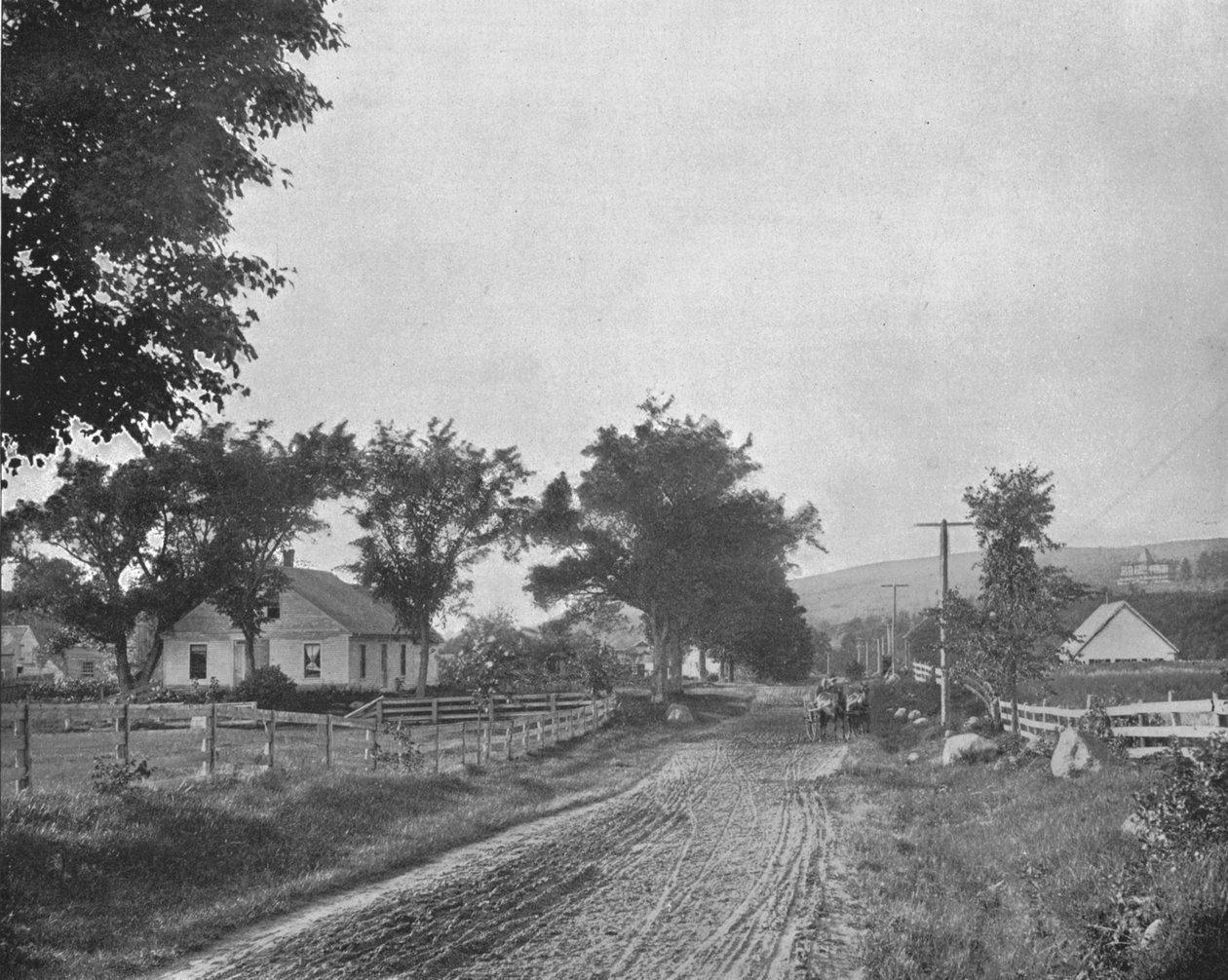 W drodze do jeziora Echo, Białe Góry, New Hampshire, USA, ok. 1900. autorstwa Unbekannt
