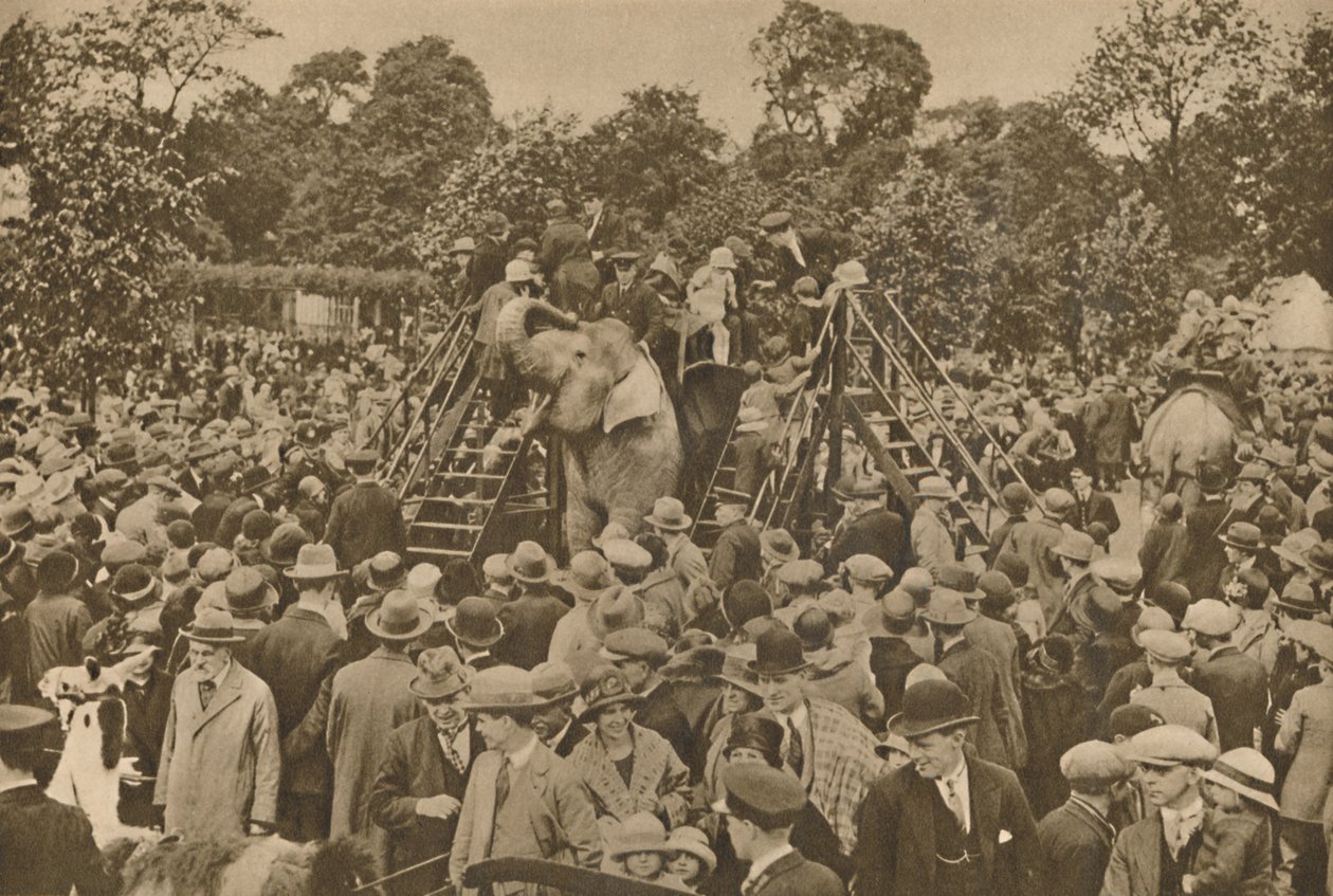 Jeden ze znaków naszej cywilizacji: dobrze zaopatrzone ogrody zoologiczne, które zachwycają ciekawskich, c193 autorstwa Unbekannt