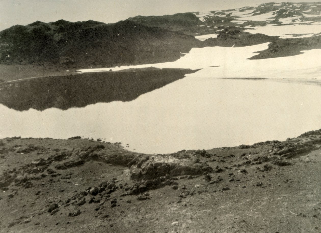 Open Water w Green Lake w okresie letnim, 1908, 1909 autorstwa Unbekannt