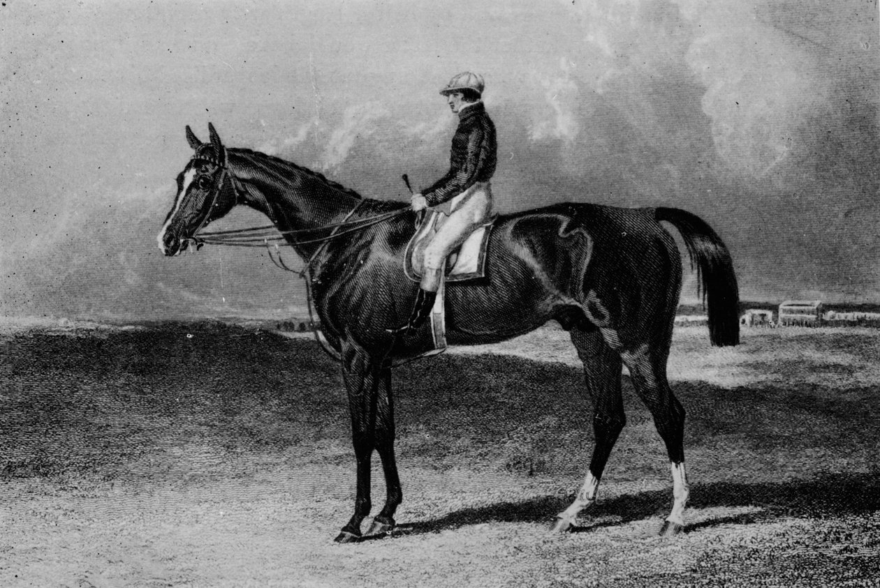 Orlando, ok. 1841-1860, 1911 autorstwa Unbekannt