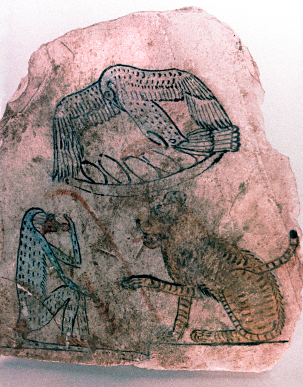 Fragment ostracona, gepard, ptak i małpa, Egipt autorstwa Unbekannt