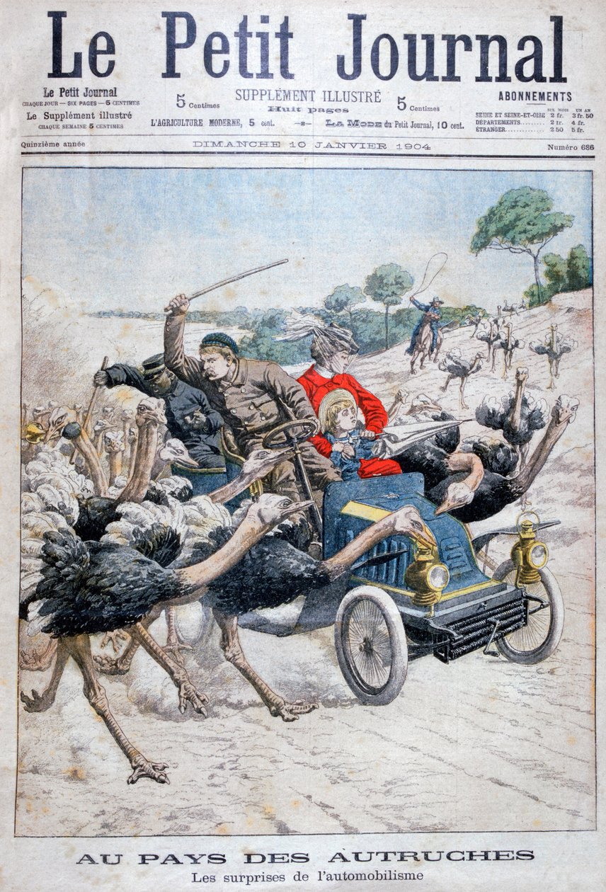 Strusie atakują samochód, Kalifornia, USA, 1904 r. autorstwa Unbekannt