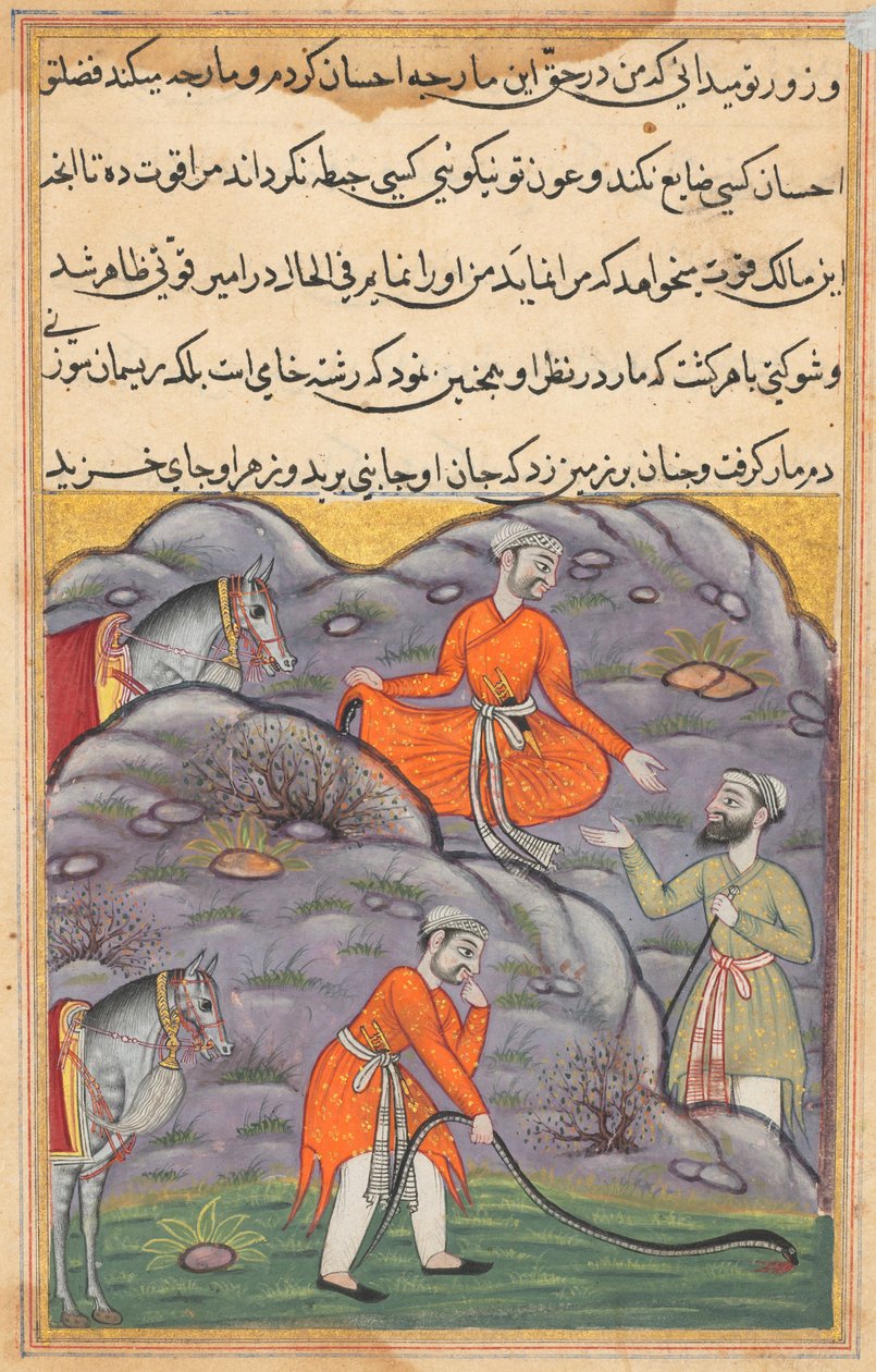 Strona z Opowieści papugi Tuti-nama: Czterdziesta piąta noc: Amir zabija węża..., c. 1560. autorstwa Unbekannt