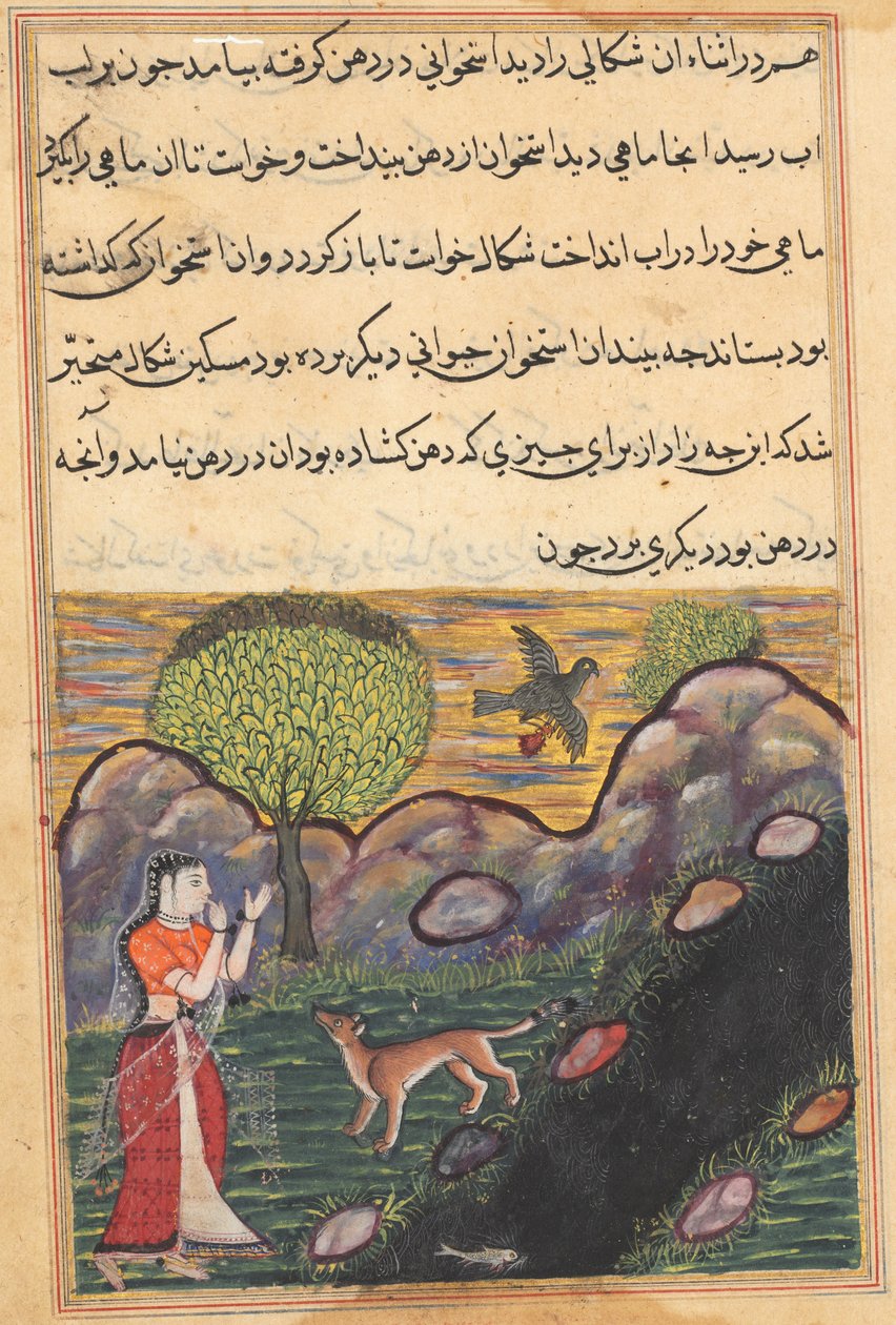 Strona z Opowieści papugi Tuti-nama: Szesnasta noc: Synowa..., c. 1560. autorstwa Unbekannt