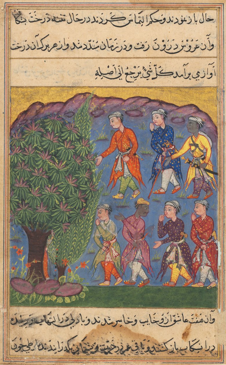Strona z Tales of a Parrot Tuti-nama: Szósta noc: Siedmiu mężczyzn kłócących się o posiadanie... 1560. autorstwa Unbekannt