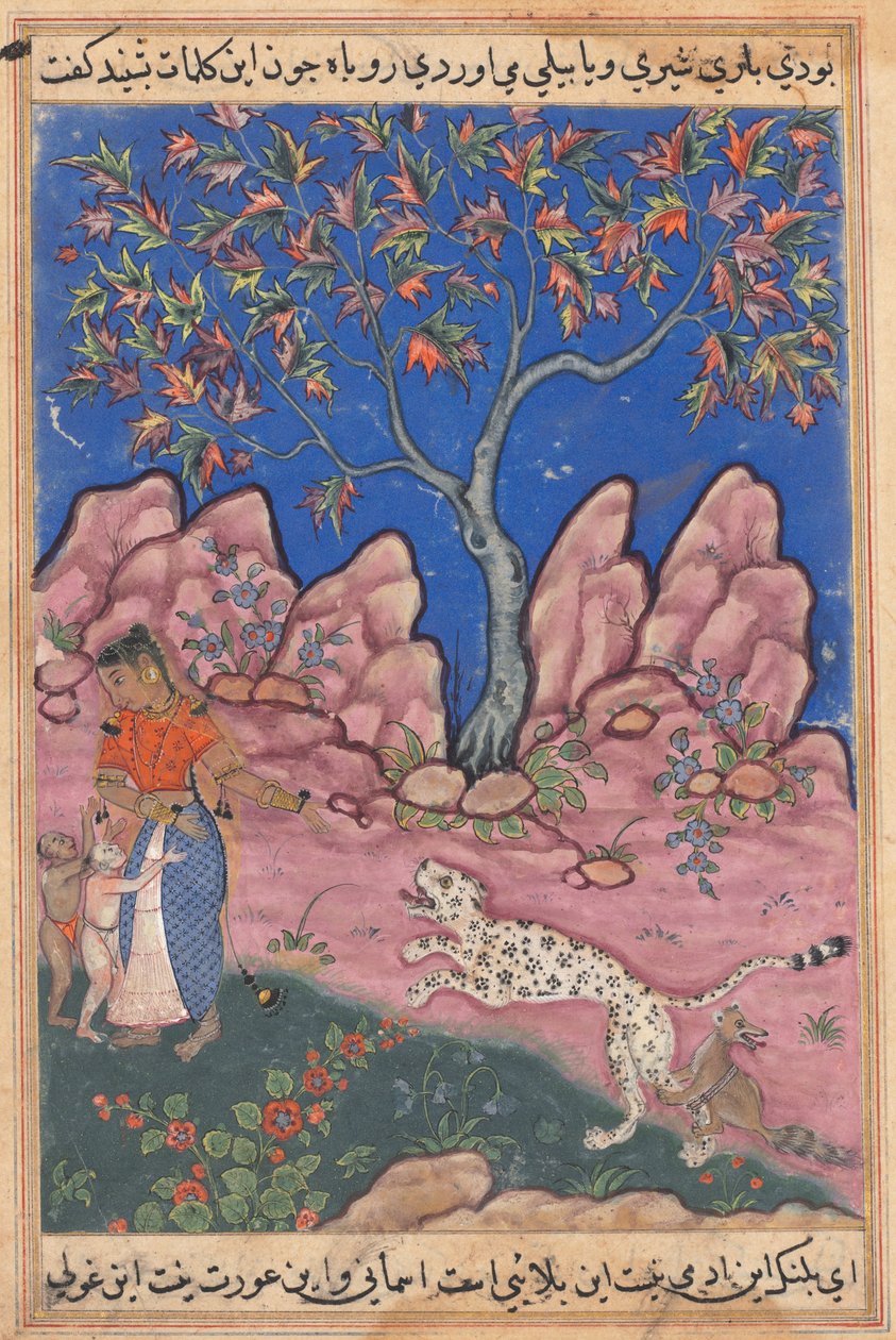 Strona z Tales of a Parrot Tuti-nama: Trzydziesta noc: Kobieta rozmawiająca..., ok. godz. 1560. autorstwa Unbekannt