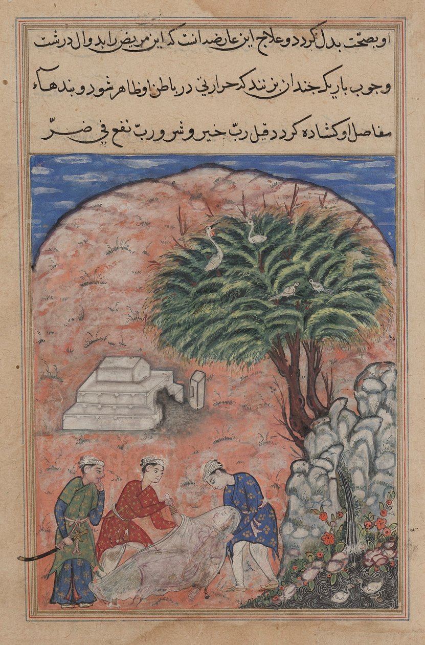 Strona z Tales of a Parrot Tuti-nama: Dwudziesta noc: Zalotnicy biorą..., ok. godz. 1560. autorstwa Unbekannt