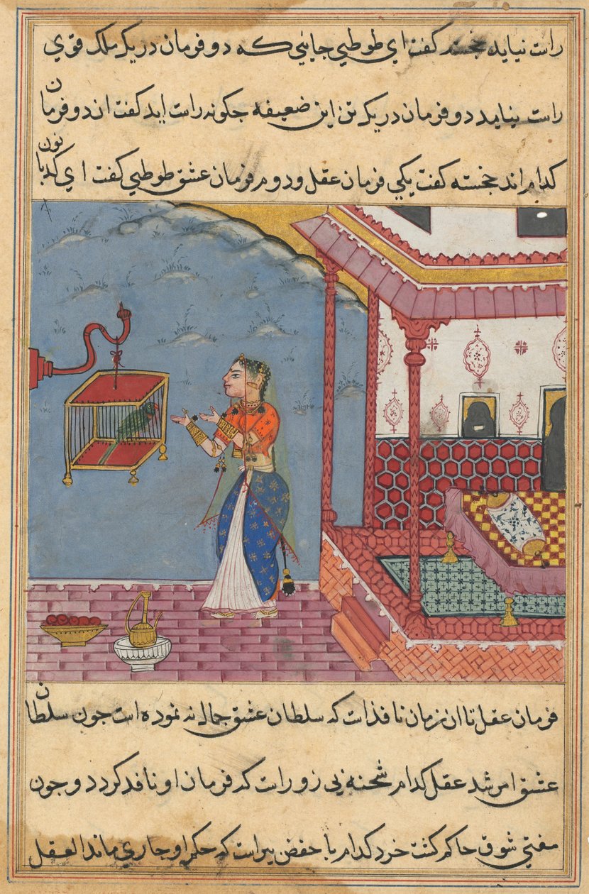 Strona z Tales of a Parrot Tuti-nama: Dwudziesta czwarta noc: Papuga..., ok. godz. 1560. autorstwa Unbekannt