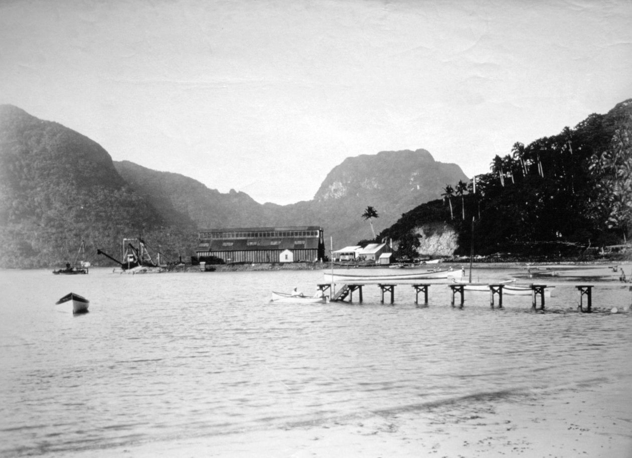 Port Pago Pago, na wyspie Tutuila, Samoa Amerykańskie, 1889 autorstwa Unbekannt