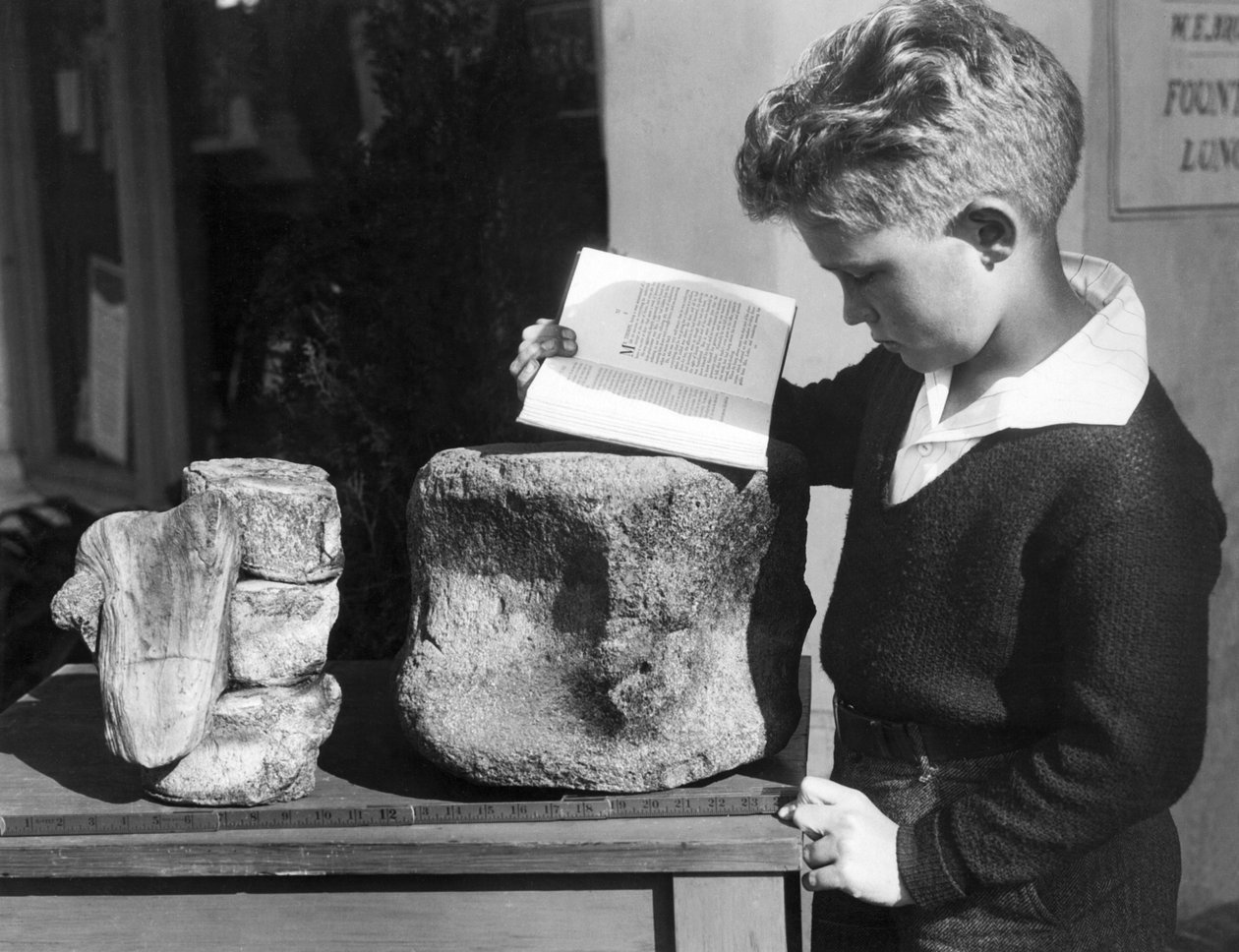 Palos Verdes, Kalifornia: ok. 1927. Młody chłopiec studiuje archeologię przy użyciu skamieniałych prehistorycznych kręgów znalezionych na pobliskich wzgórzach. (zdjęcie czarno-białe) autorstwa Unbekannt