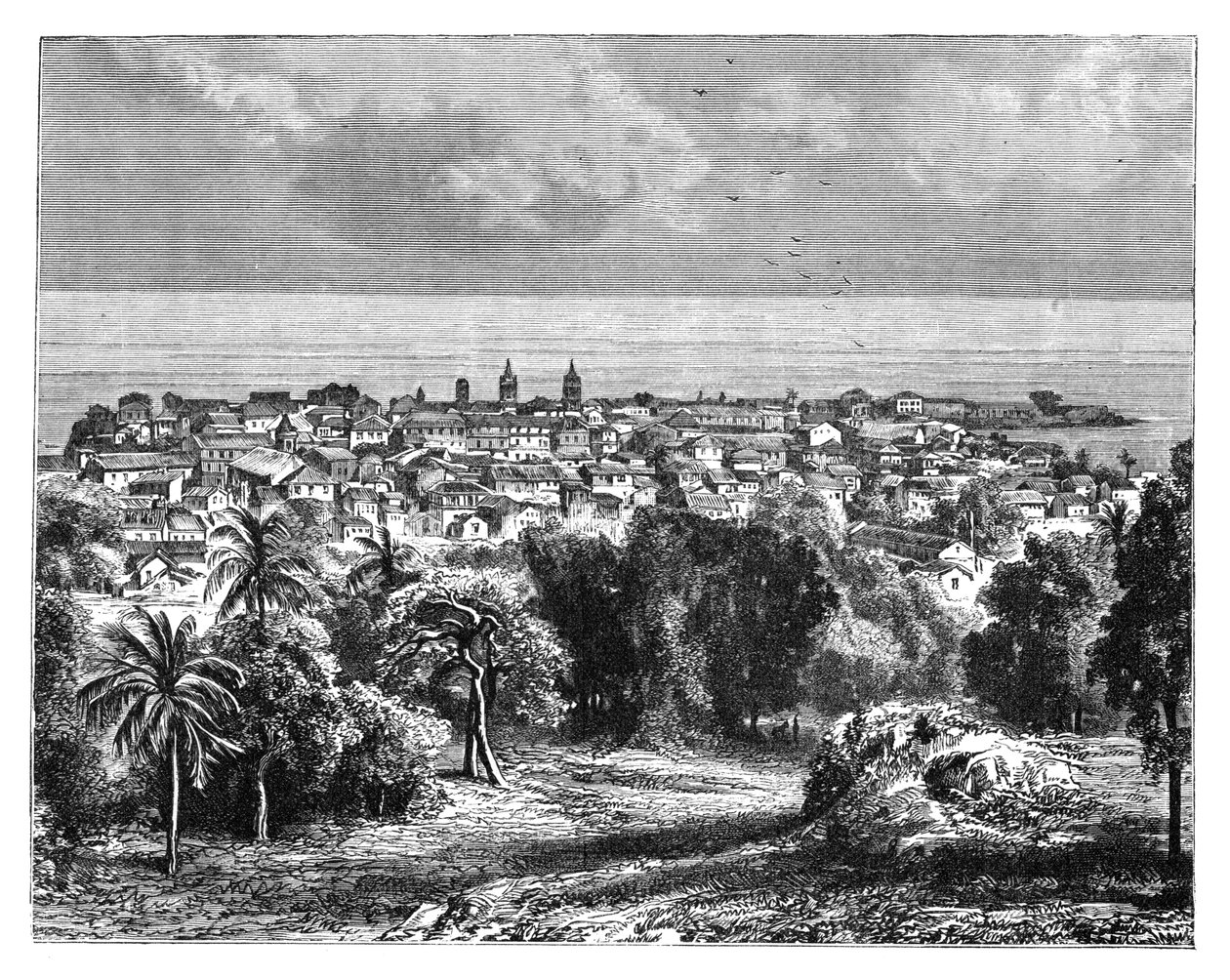 Panama City z Mount Ancon, c1890 autorstwa Unbekannt
