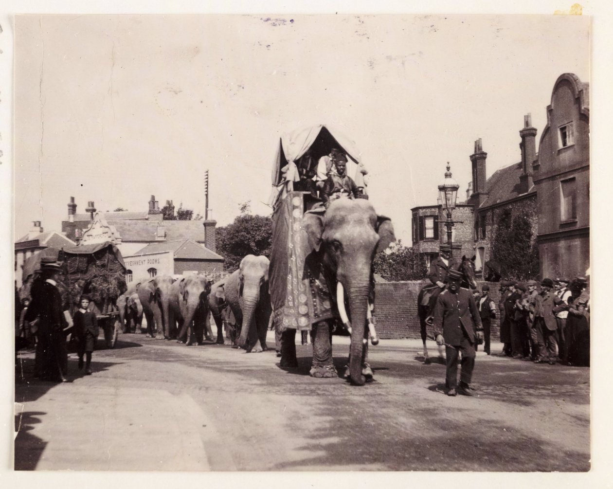 Parada słoni, ok. 1905 autorstwa Unbekannt