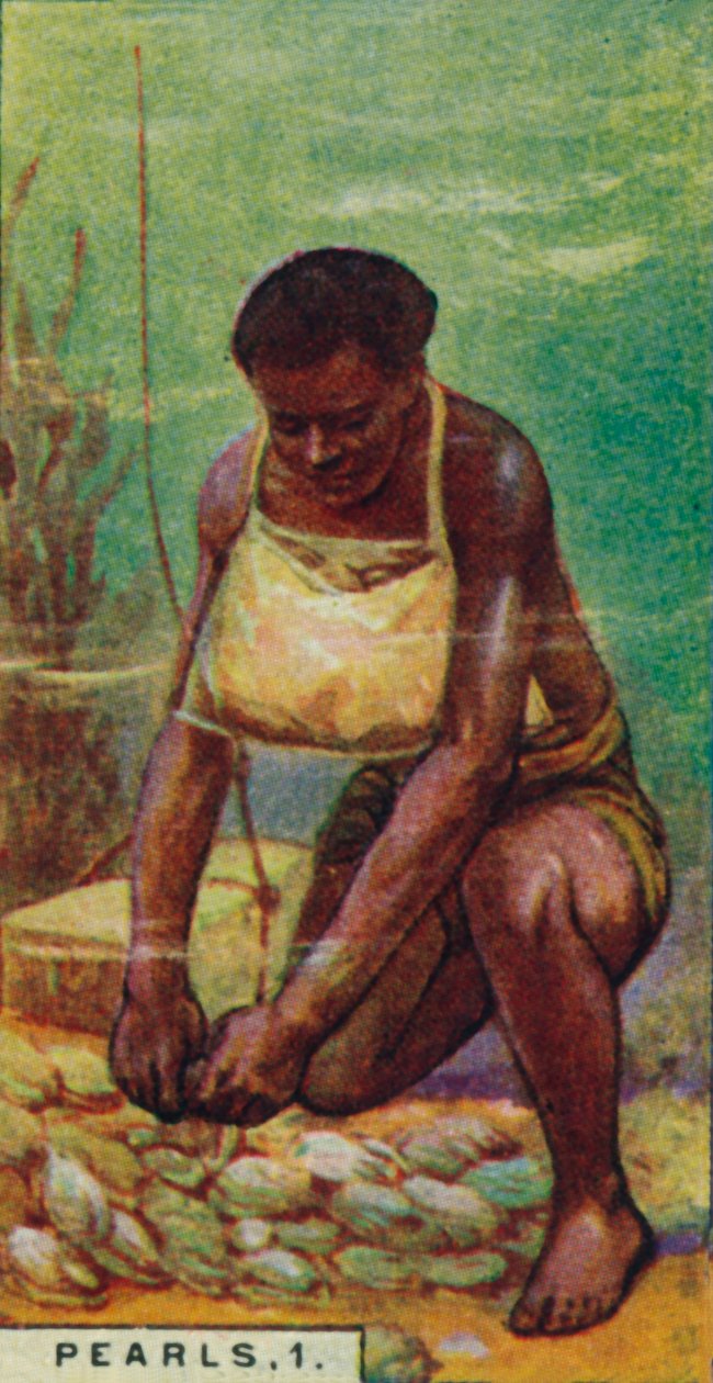 Perły 1. Native Diver przy pracy, Cejlon, 1928 autorstwa Unbekannt