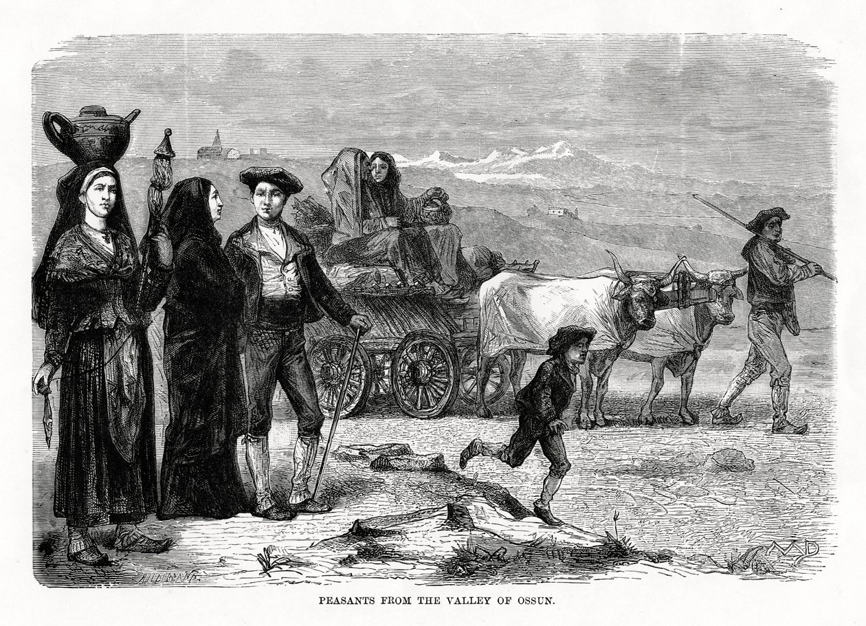 Chłopi z doliny Ossun, Francja, 1879 autorstwa Unbekannt
