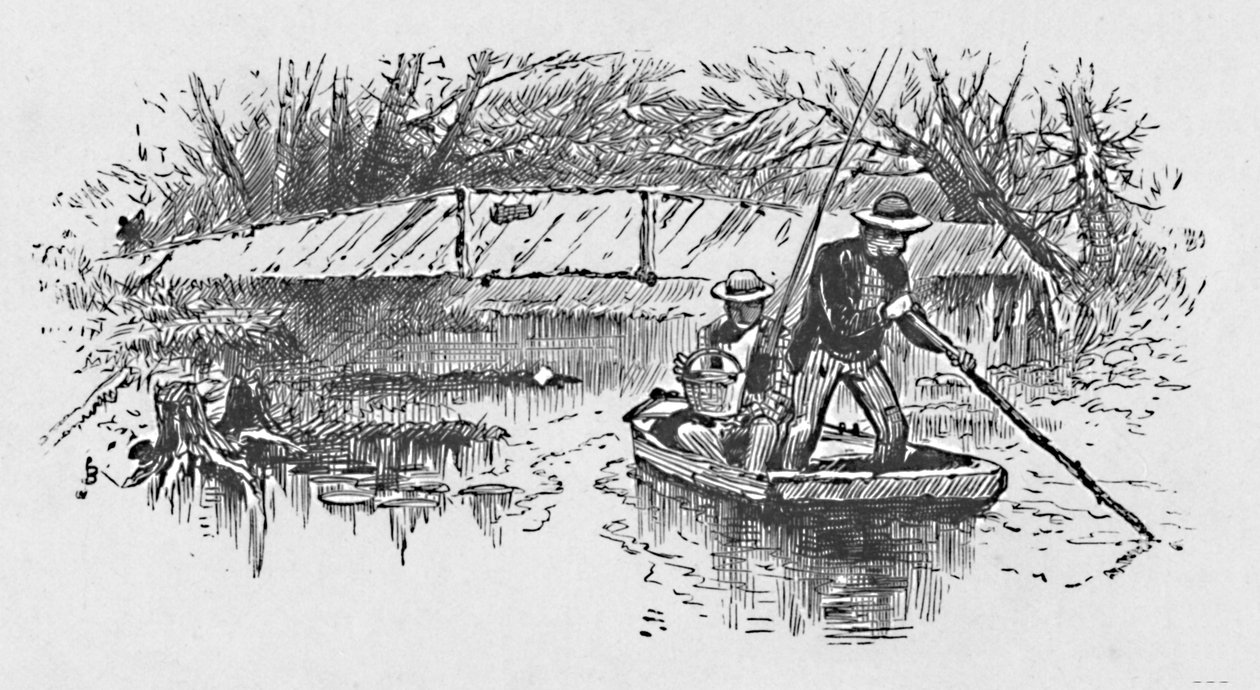 Łowienie okoni na jeziorze, 1883 autorstwa Unbekannt