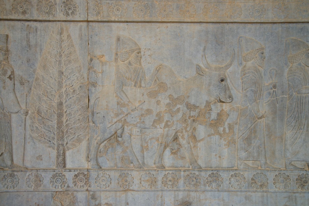 Persepolis, Iran (zdjęcie) autorstwa Unbekannt