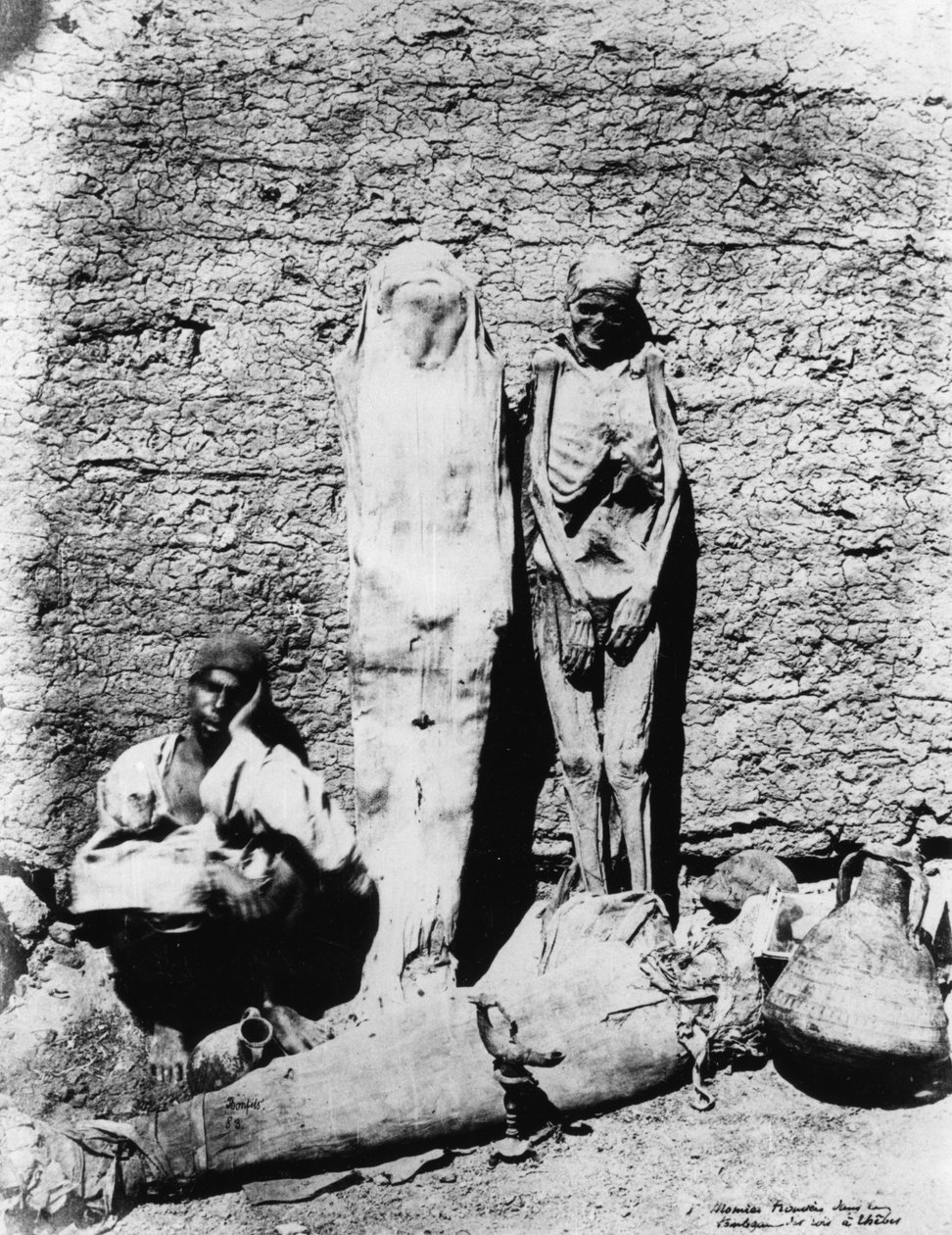 Zdjęcie mumii, 1860 autorstwa Unbekannt