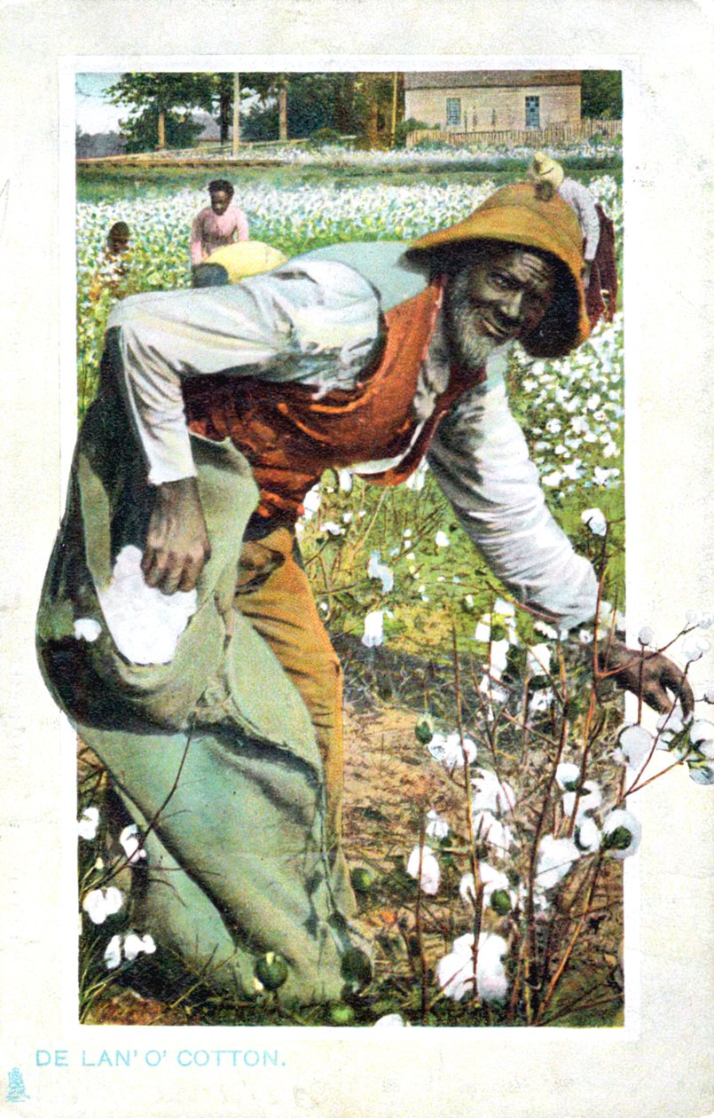 Zbieranie bawełny, USA, pocztówka, ok. 1900 autorstwa Unbekannt