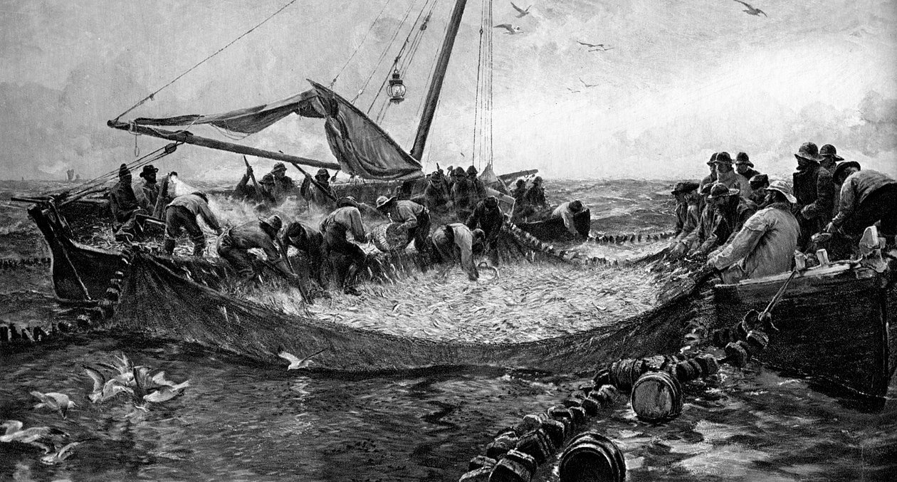 Pilchardy, 1900 autorstwa Unbekannt