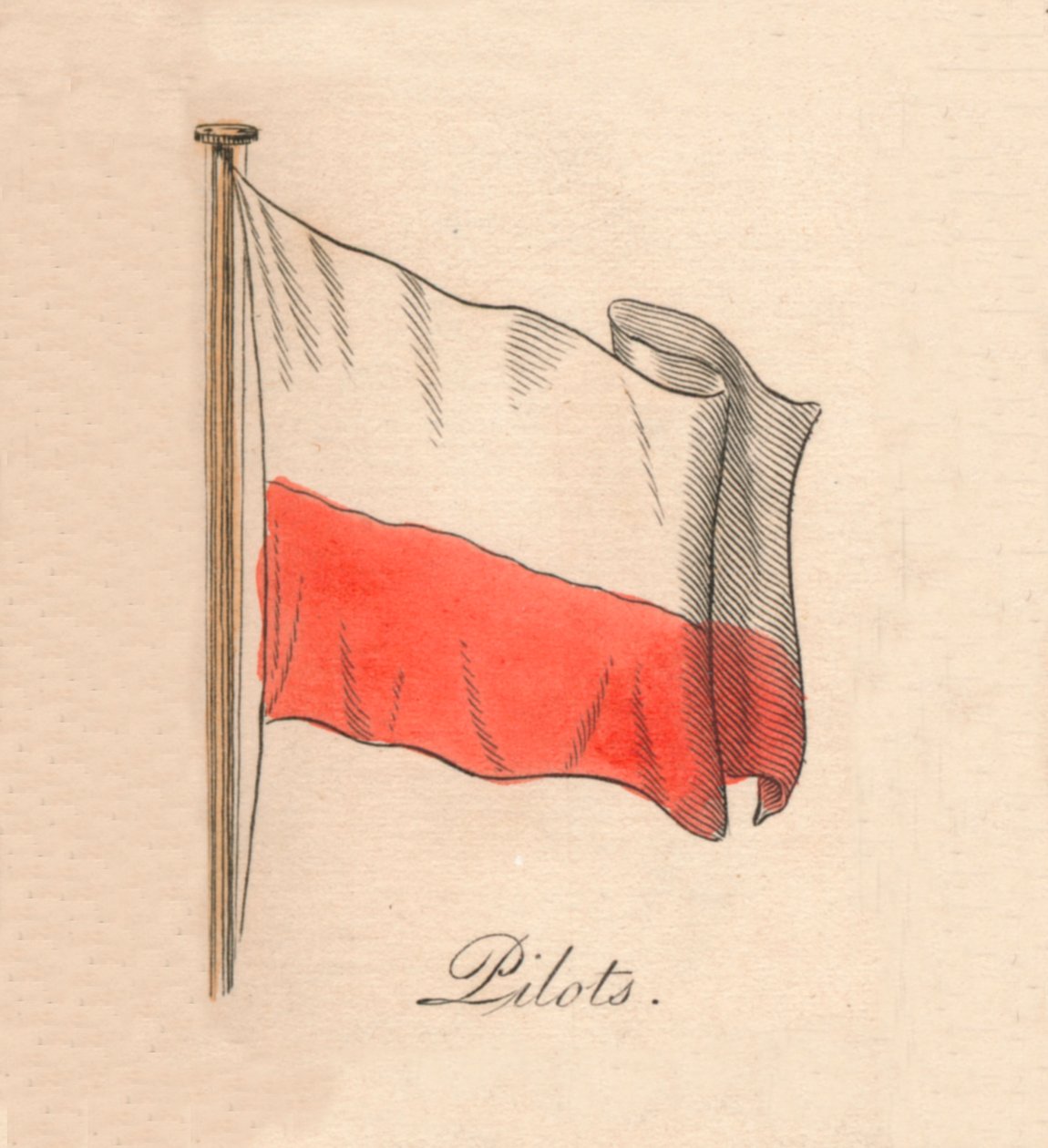 Piloci, 1838 autorstwa Unbekannt