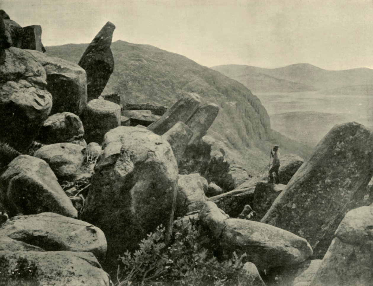 Pinnacle & Organ Pipes, Mount Wellington, 1901. autorstwa Unbekannt