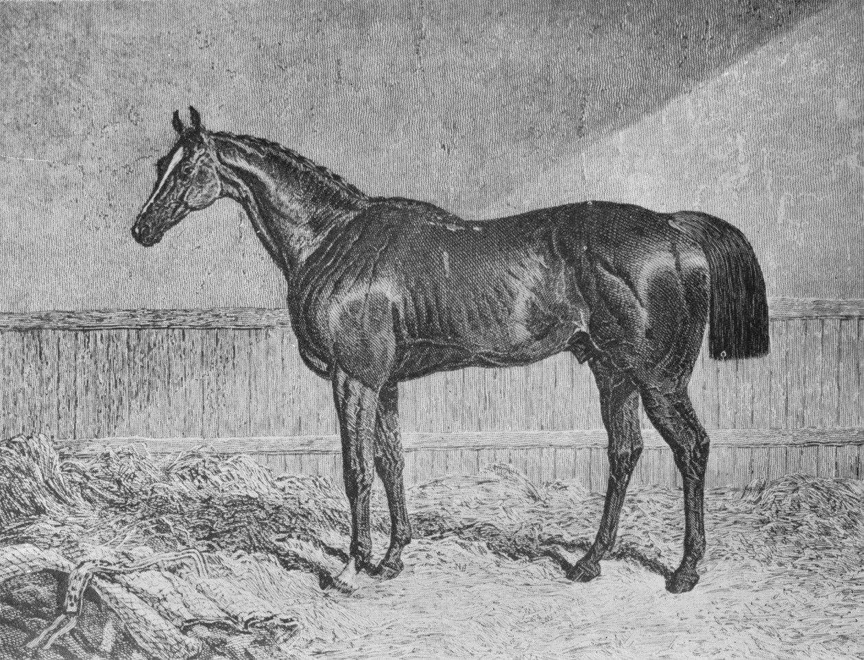 Pełnomocnik, 1831-1854, 1911 autorstwa Unbekannt