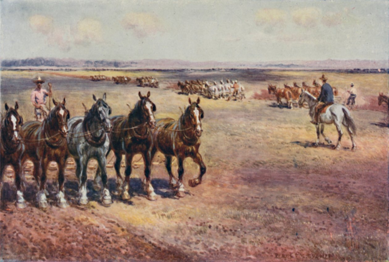Orka na dużą skalę, 1923. autorstwa Unbekannt