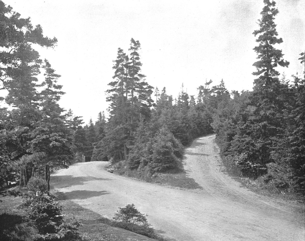 Point Pleasant Park, Halifax, Nowa Szkocja, Kanada, c1900. autorstwa Unbekannt